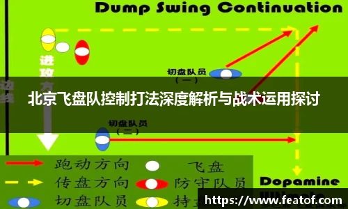 北京飞盘队控制打法深度解析与战术运用探讨